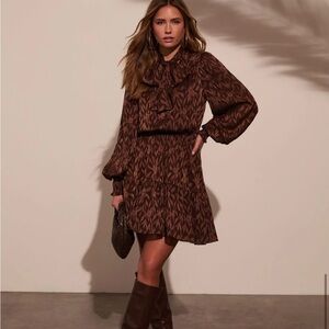 Brown Necktie Mini Dress